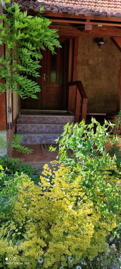 Ruralna Kuca Za Odmor Pozojova Hiza - Rural Holiday House Lopatinec エクステリア 写真