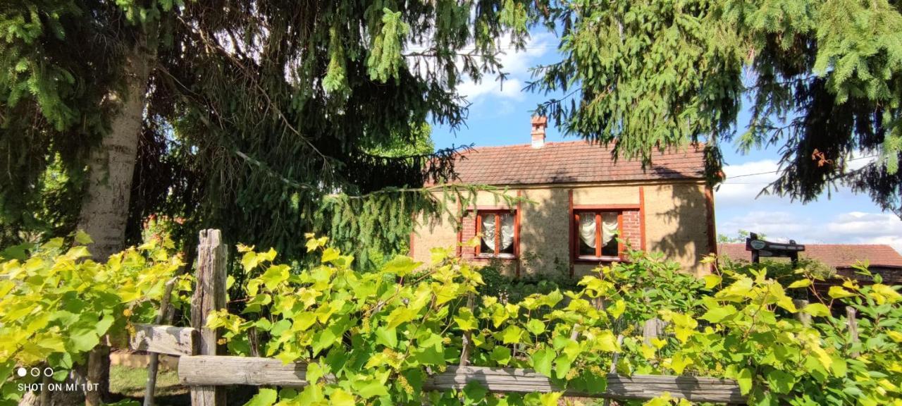 Ruralna Kuca Za Odmor Pozojova Hiza - Rural Holiday House Lopatinec エクステリア 写真