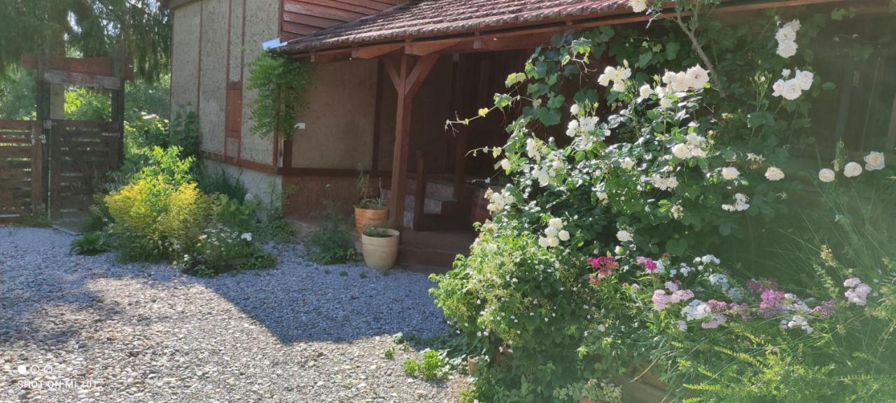 Ruralna Kuca Za Odmor Pozojova Hiza - Rural Holiday House Lopatinec エクステリア 写真