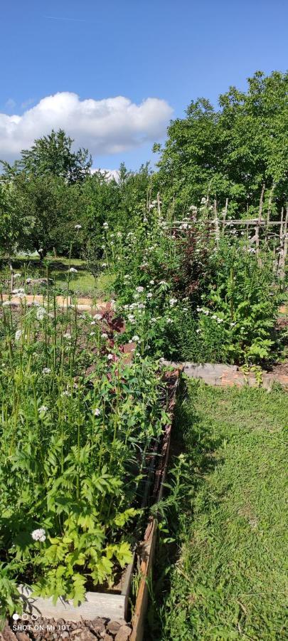 Ruralna Kuca Za Odmor Pozojova Hiza - Rural Holiday House Lopatinec エクステリア 写真
