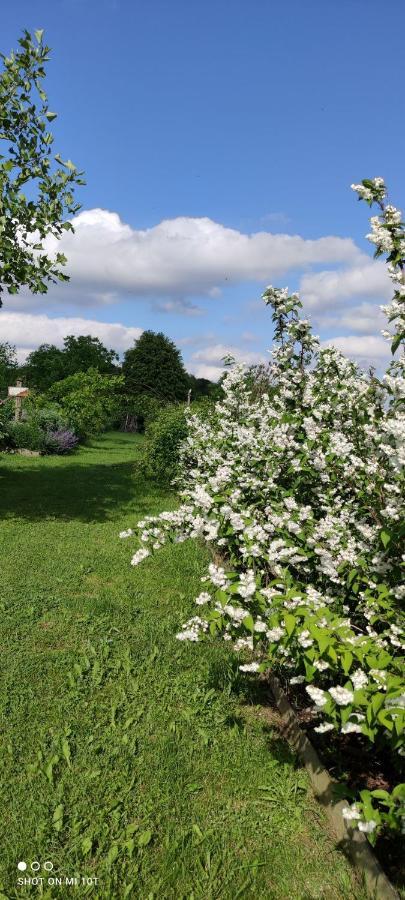 Ruralna Kuca Za Odmor Pozojova Hiza - Rural Holiday House Lopatinec エクステリア 写真
