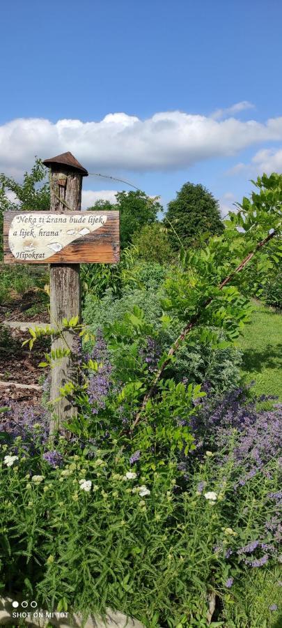 Ruralna Kuca Za Odmor Pozojova Hiza - Rural Holiday House Lopatinec エクステリア 写真